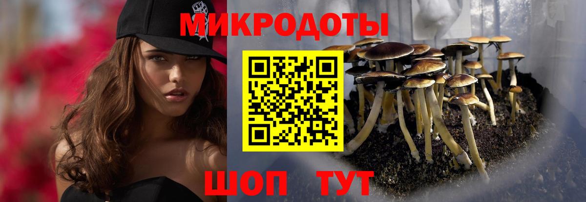 Псилоцибиновые грибы Cubensis Екатеринбург